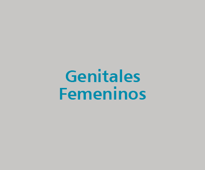 Genitales Femeninos